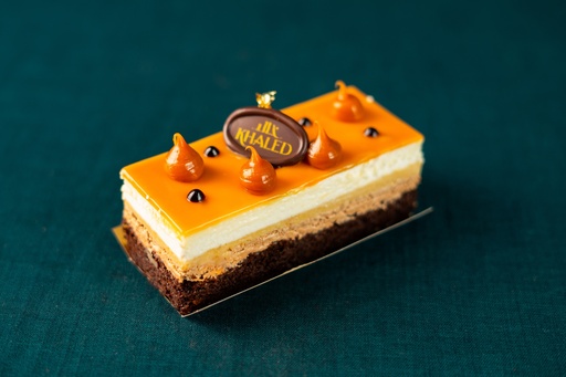 [262] جاتوه فرنسى اسنيكرز