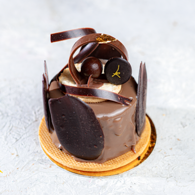 [265] جاتوه فرنسى جلاكسى